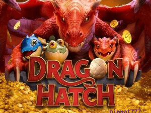 Dragon Hatch
